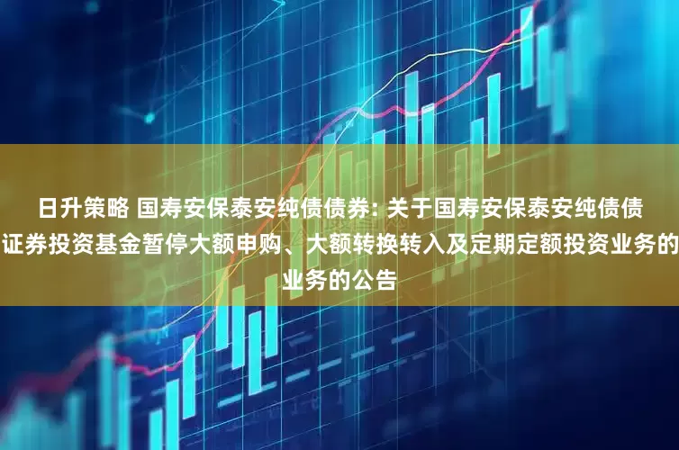 日升策略 国寿安保泰安纯债债券: 关于国寿安保泰安纯债债券型证券投资基金暂停大额申购、大额转换转入及定期定额投资业务的公告