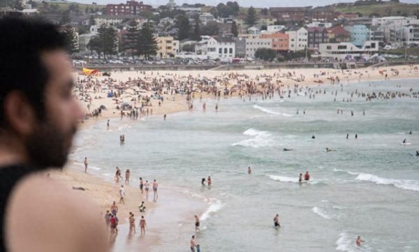 京海策略 悉尼海滩发生鲨鱼袭人事件一冲浪者丧命